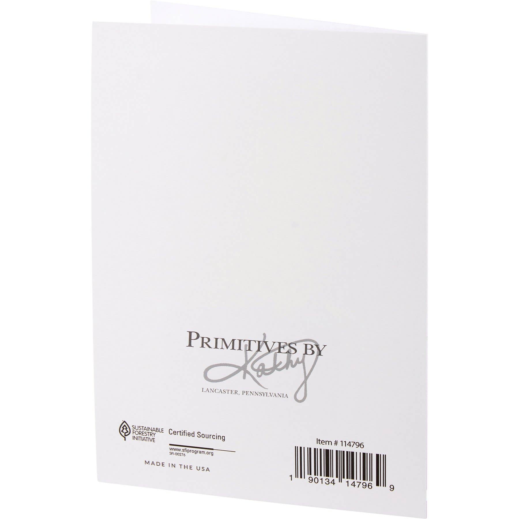 Primitives by Kathy - Wholesale Everyday Greeting Card - Party Party Party Hard Greeting Card2