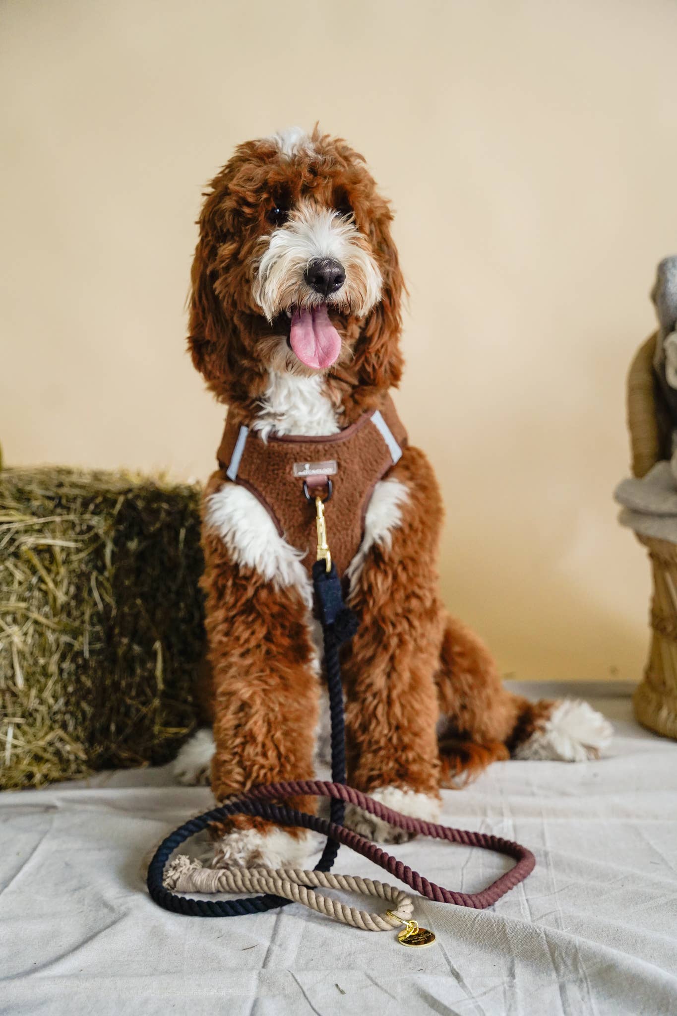 Cavology - Vendita all'ingrosso Pettorina - Cani - Pettorina a gilet per cane Step In marrone in sherpa teddy2