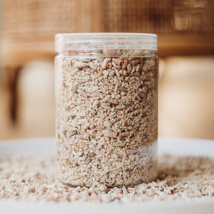 The Saltwater Collective - Wholesale DIY craft kit – Child - Shell Sand1