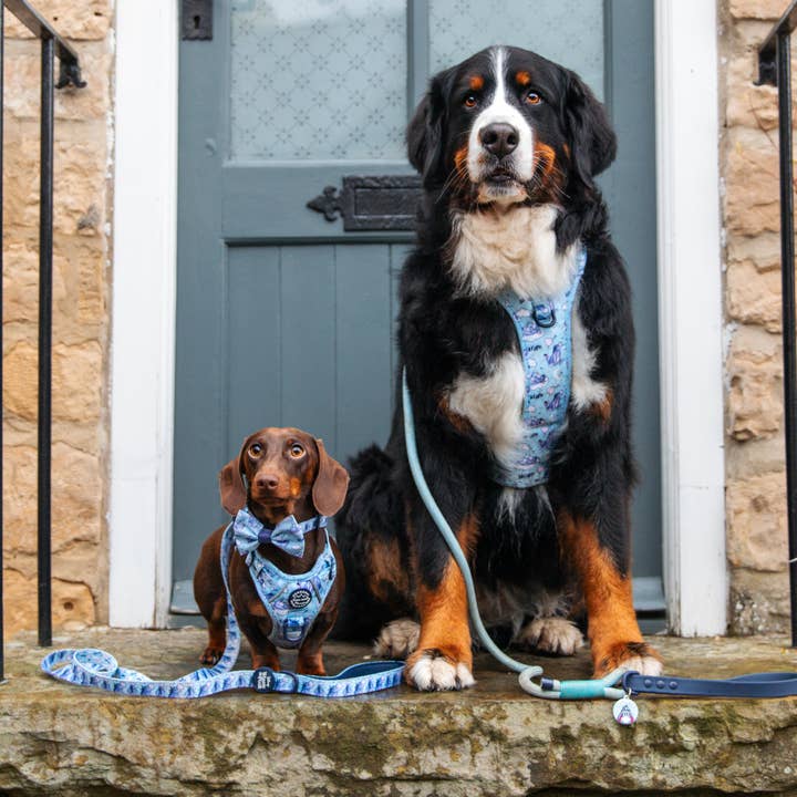 Pawsome Paws - Vendita all'ingrosso Pettorina - Cani - Disney© Tough Trails™ Pettorina - Ih-Oh39