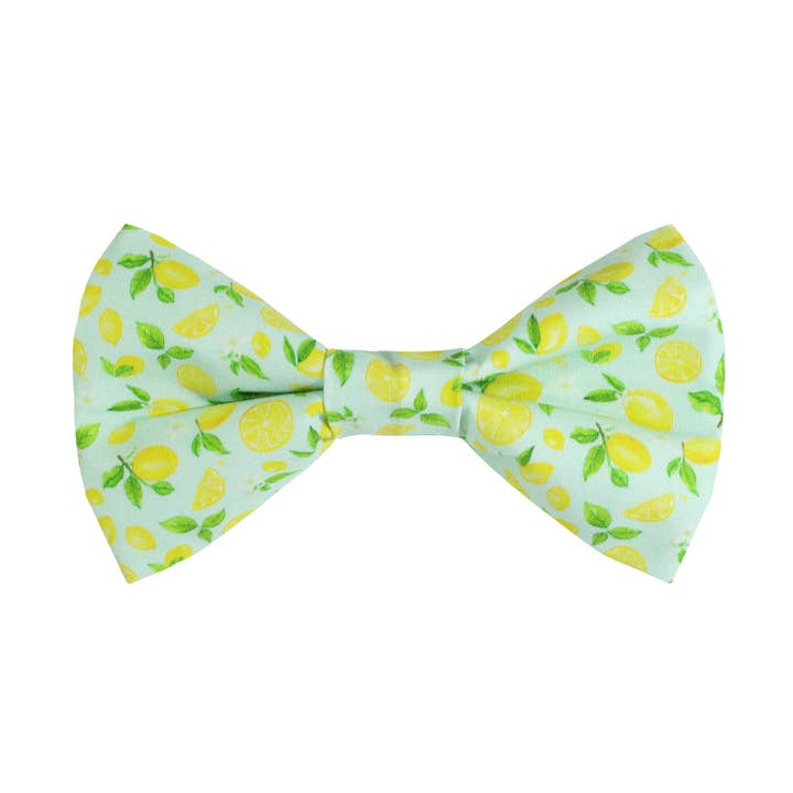 Lemon dog bow tie for wholesale by Pretty posh pups