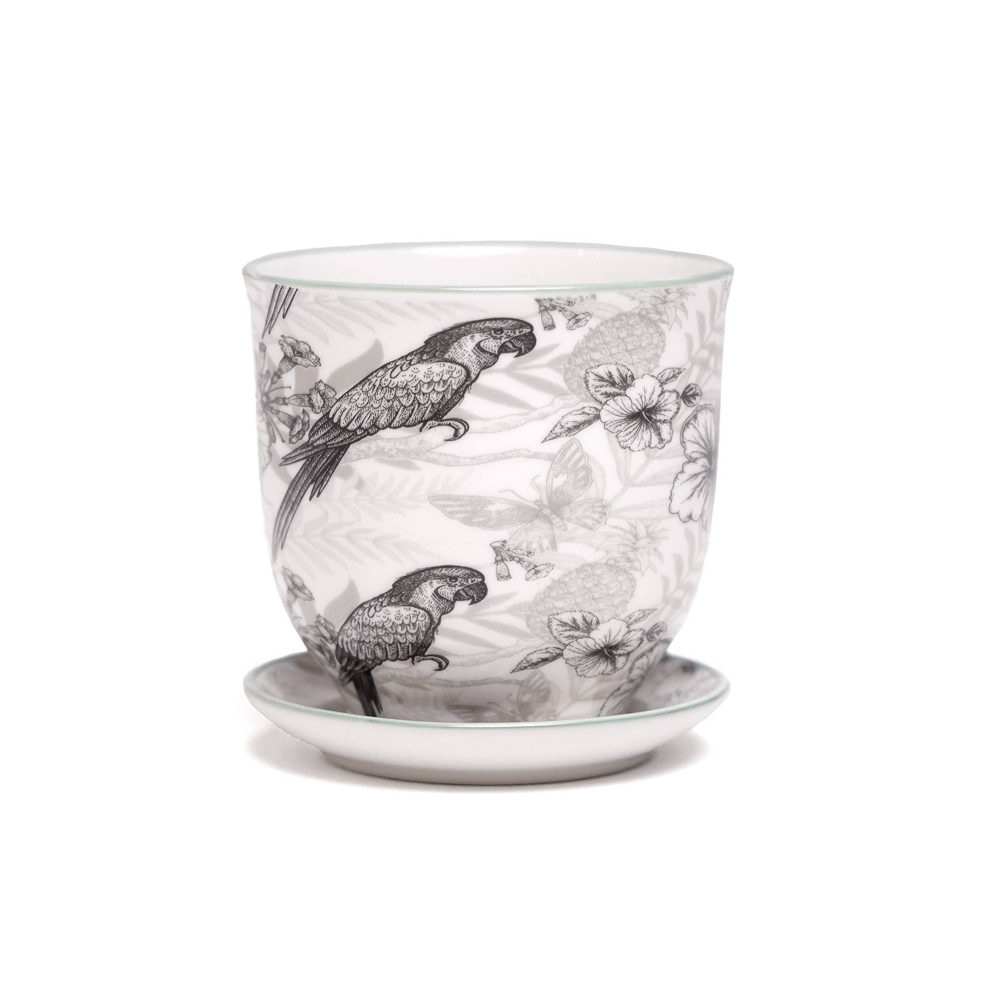 Chive - Wholesale Plant Pot - Liberte  Indoor plant pots with drainage 3 & 5 inch planter25