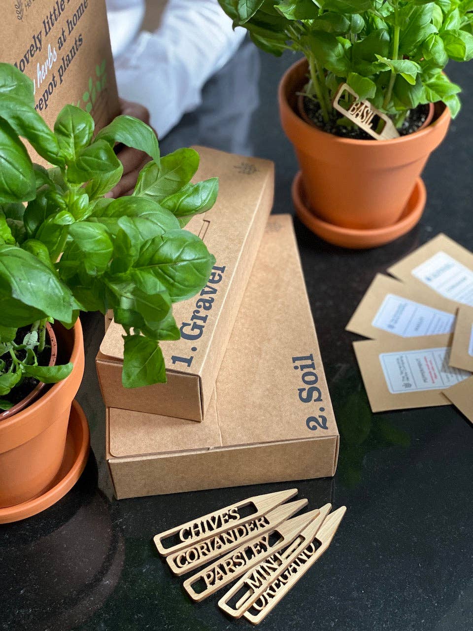 The Terracotta Herbs Company - Vente Graines de plantes - Kit d'herbes en terre cuite1