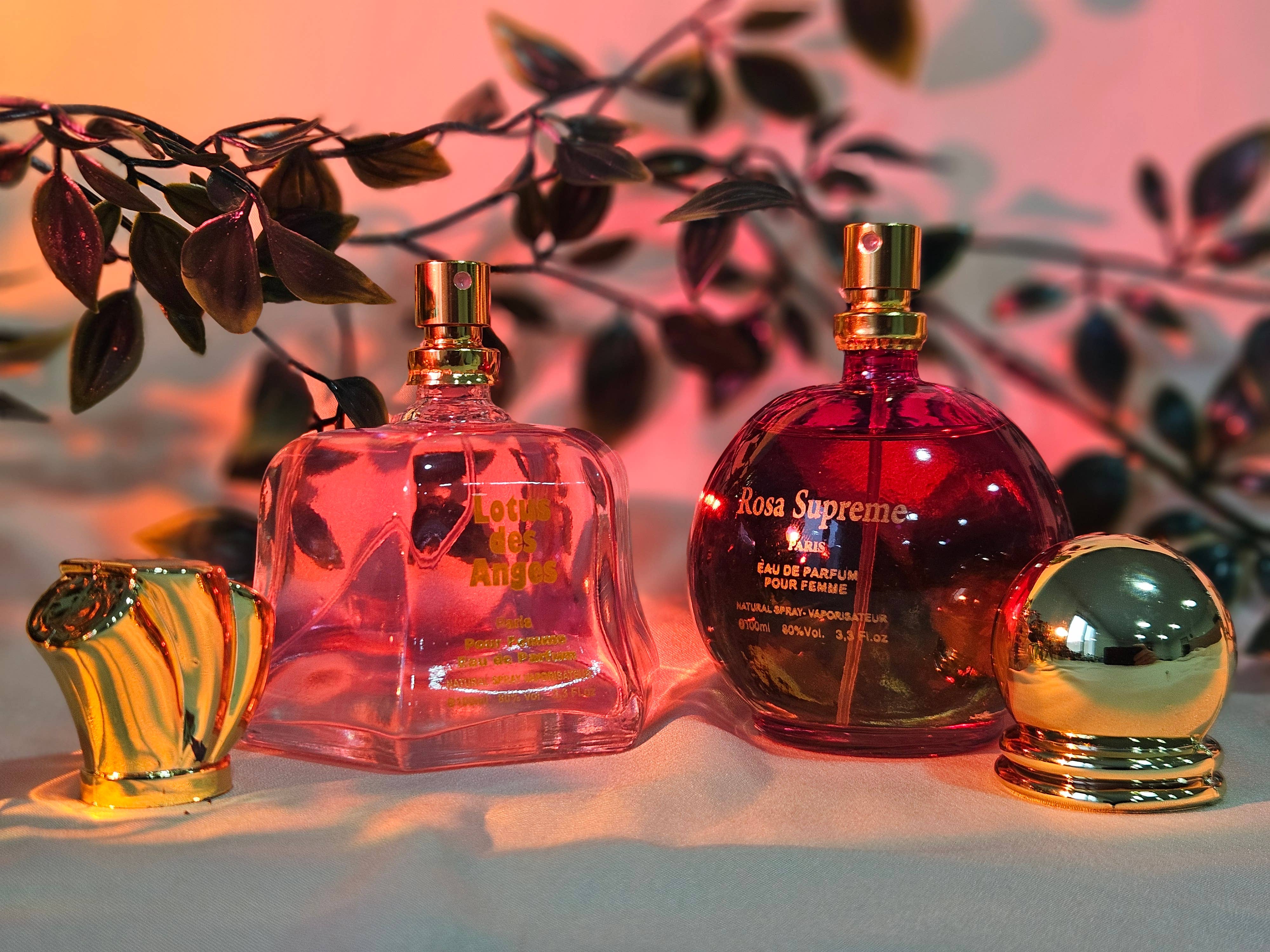 France parfums concept - Wholesale Fragrance Set - Lotus Des Anges Eau De Parfum For Women  100 ML 7