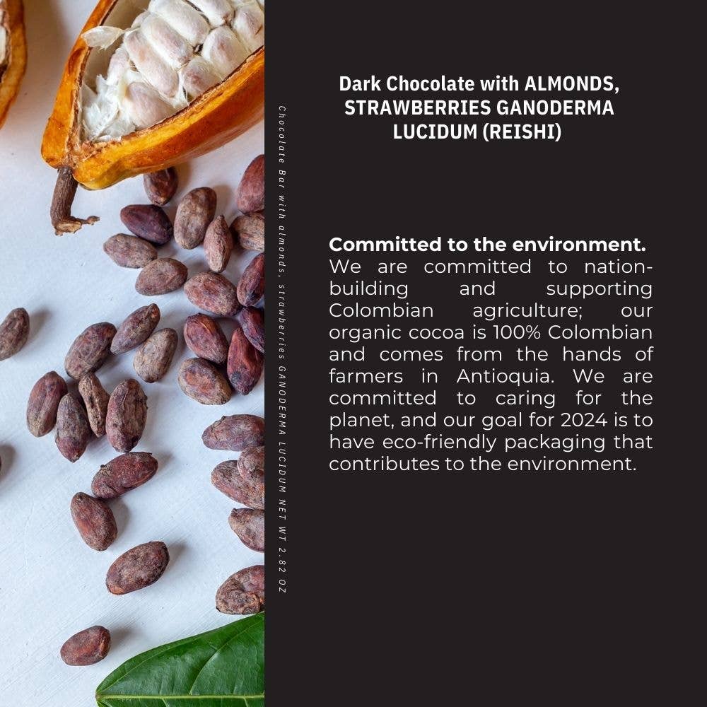 Kaffeto Gourmet USA - Wholesale Chocolate Bar - dark chocolate bar with almond, strawberries and ganoderma3