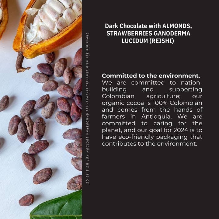 Kaffeto Gourmet USA - Wholesale Chocolate Bar - dark chocolate bar with almond, strawberries and ganoderma3