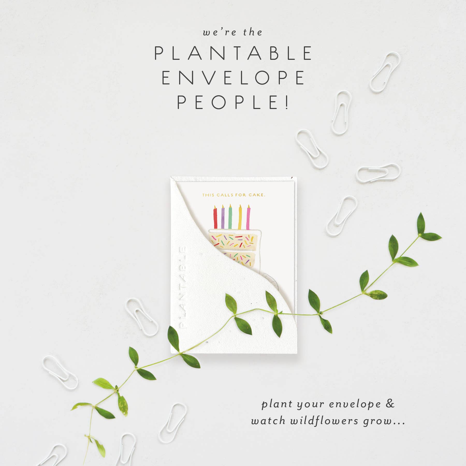 Seedlings - Wholesale Verjaardagskaartje - Verjaardagssnede Spruit - Verjaardagsminiwenskaart1