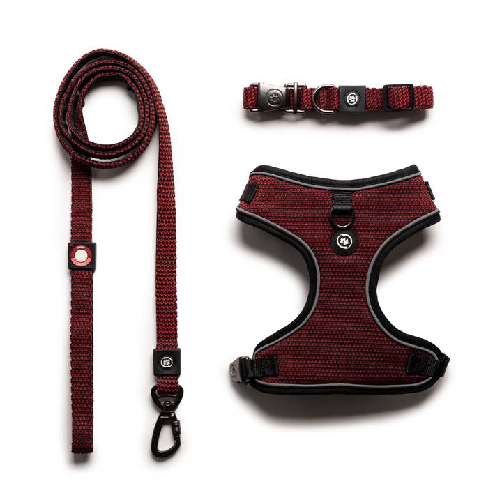 Silver Paw - Wholesale Pet Harness - Dog - 3 In 1 Collar, Leash, Harness Set