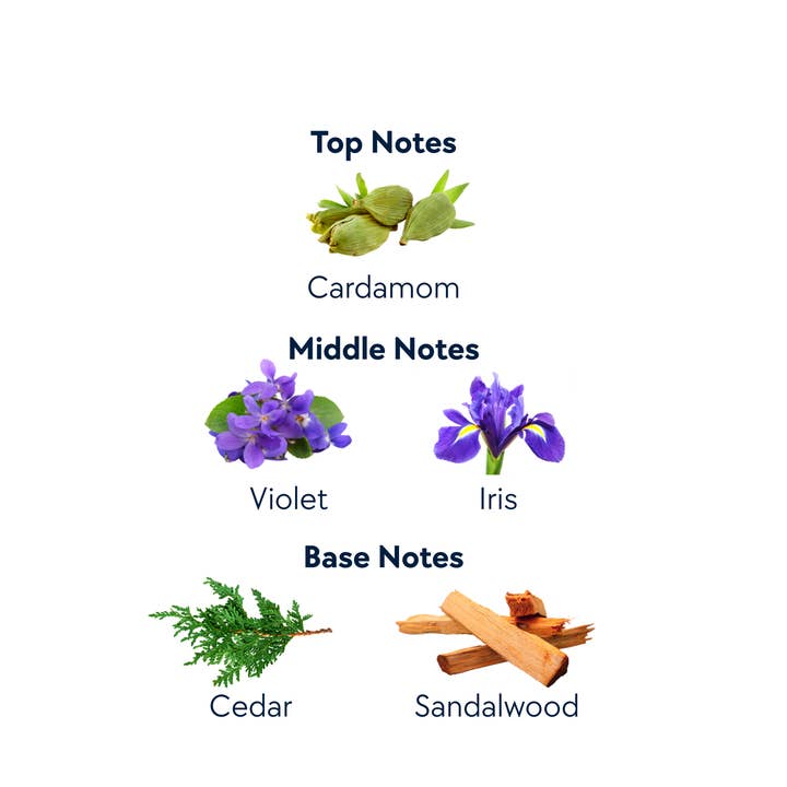 Expressive Aromas - Wholesale Roll-On Fragrance - Alamo Sunset Roller Fragrance Iris & Cardamom1