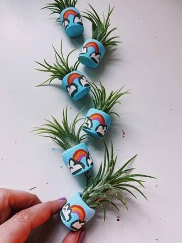 O'Berry's Succulents - Wholesale Plant Pot - Magic Rainbow Mini Planter2