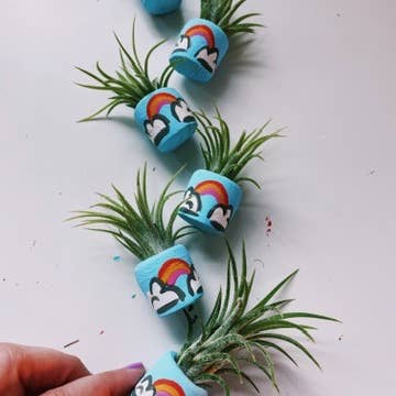 O'Berry's Succulents - Wholesale Plant Pot - Magic Rainbow Mini Planter2