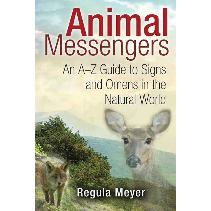 Animal Messengers by Regula Meyer for wholesale by Simon & Schuster