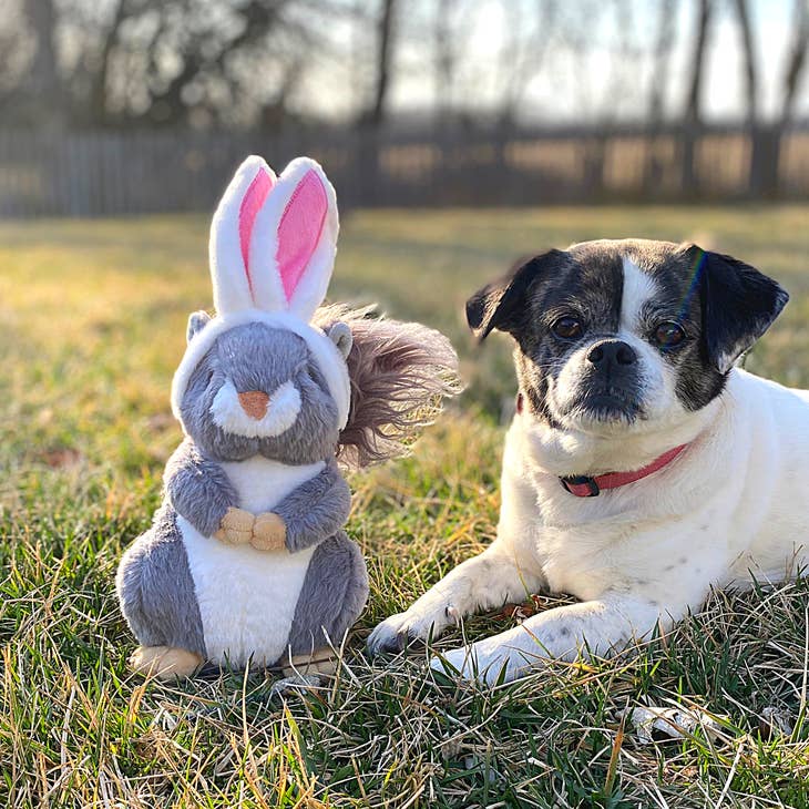 Midlee Easter Bunny Gnome Dog Toy in 2023