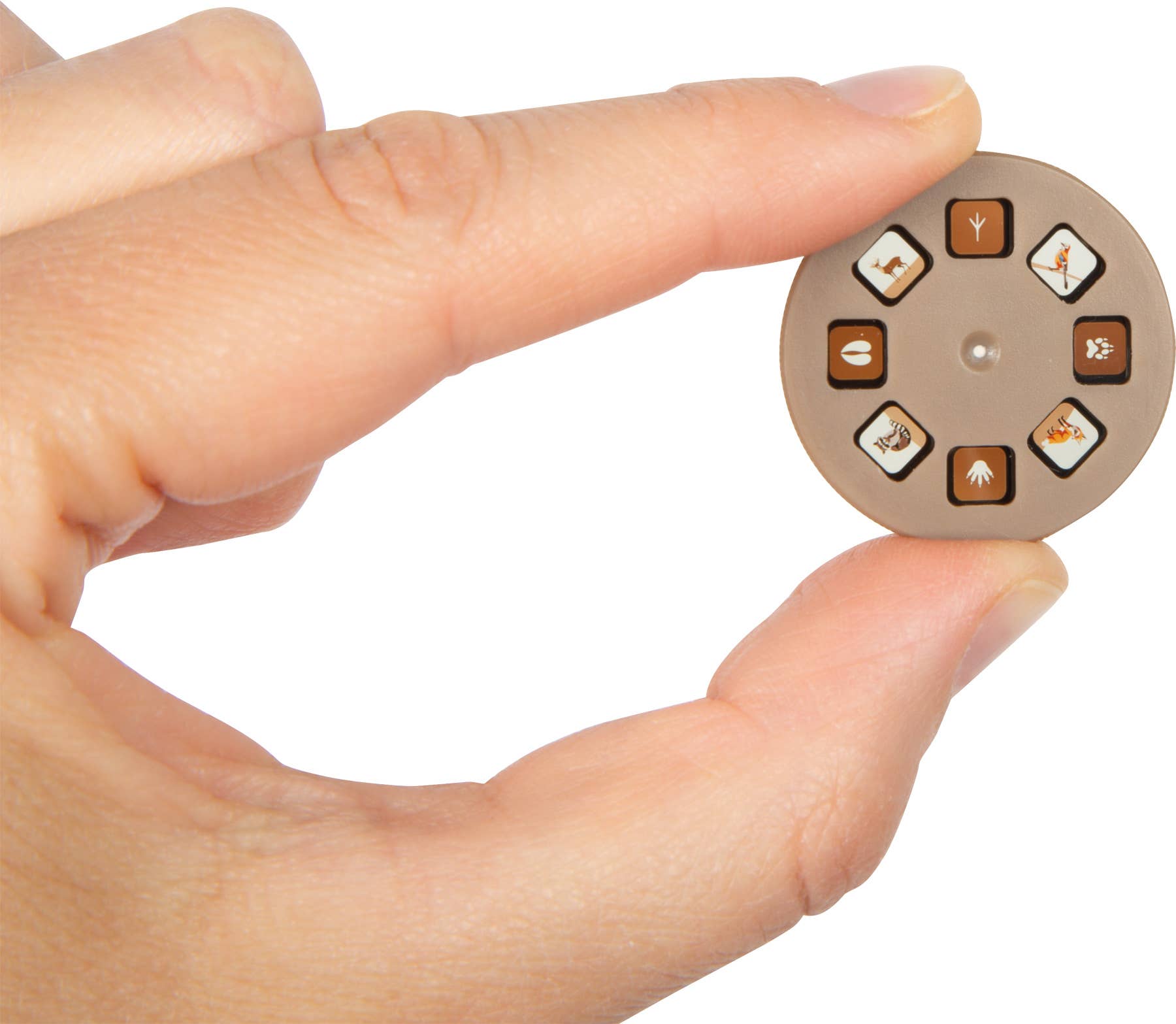 small foot - Wholesale Electronic Toy - Kids & Baby - Flashlight and Projector "Discover" | Wooden Toy6