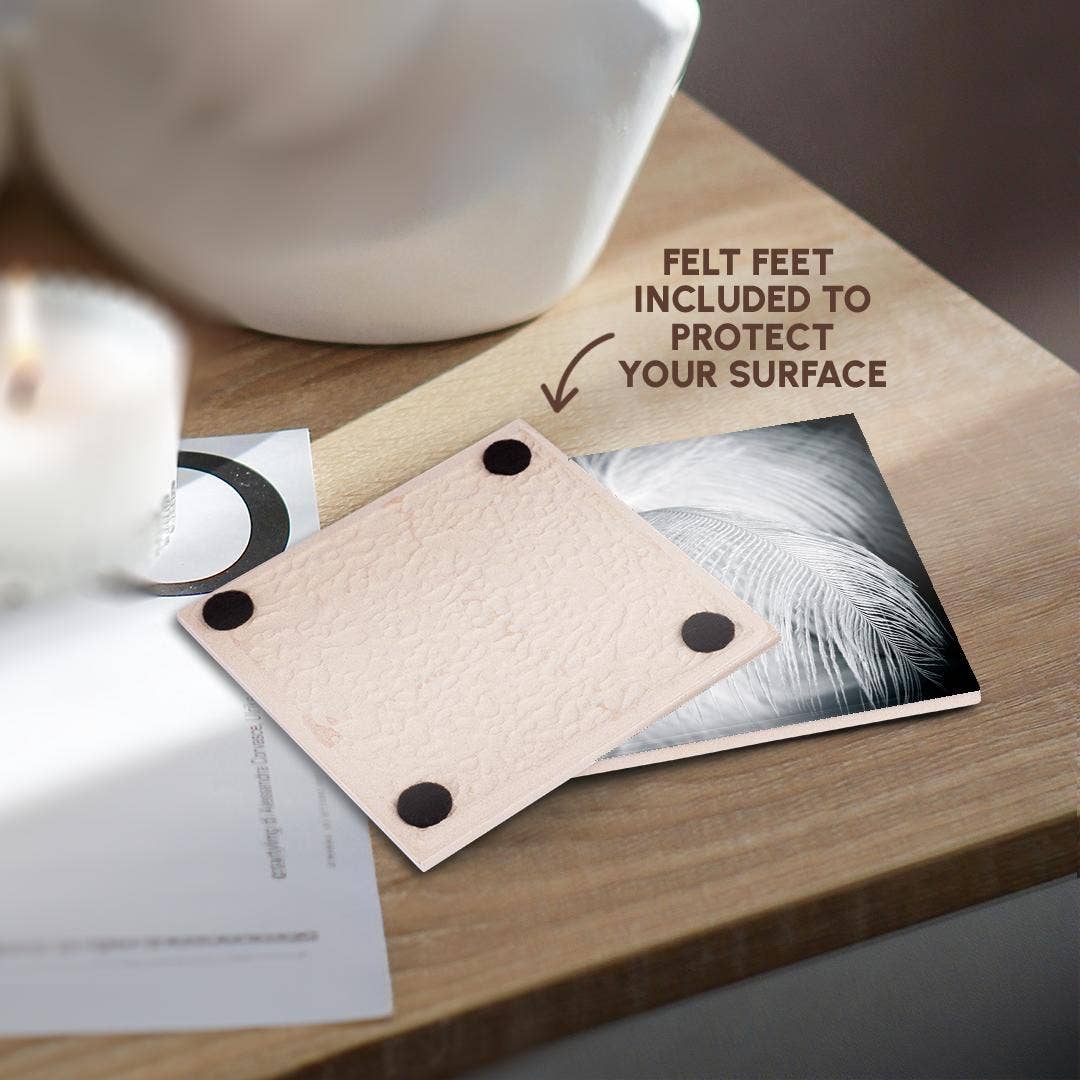 3dRose - Wholesale Coasters - 3dRose, Ostrich feathers in black and white, Coaster3