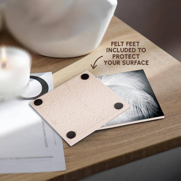 3dRose - Wholesale Coasters - 3dRose, Ostrich feathers in black and white, Coaster3