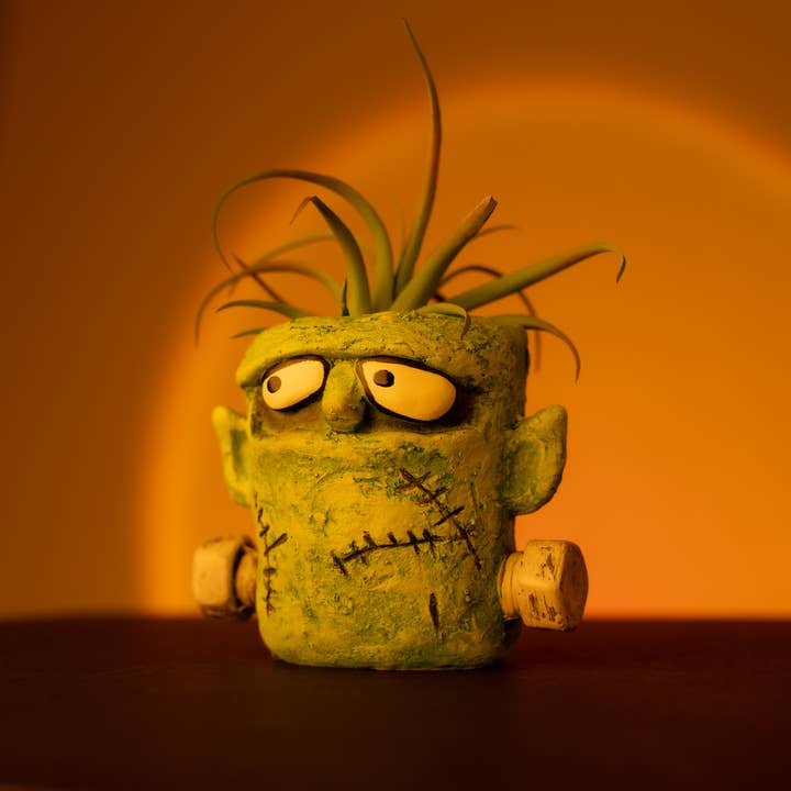 Cohasset Gifts - Wholesale Plant Pot - Frankie Monster Blobhouse Planter