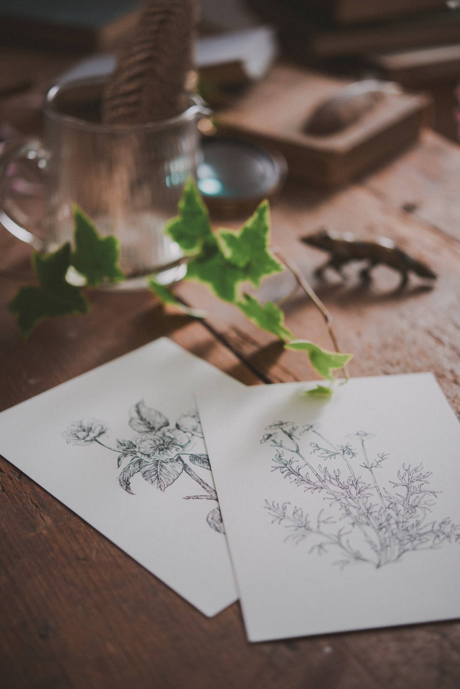 Kara Valentino Ffield Art - Wholesale Art Print - Chamomile |  Art Print 3