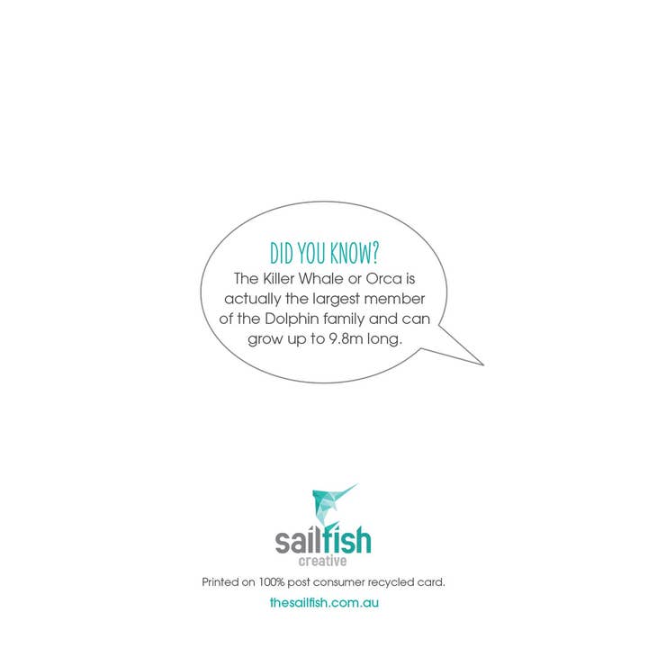 Sailfish Creative - Wholesale Birthday Card - Birthday Card - Killer Whale Orca1