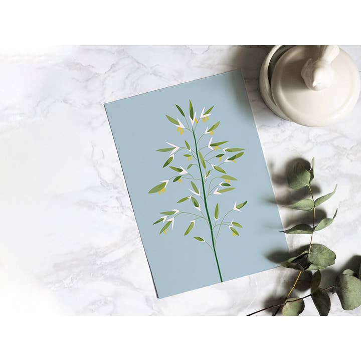 Bromus Postcard With Natural Brown Envelope,A6 Greeting Card for wholesale by Luste Illustration