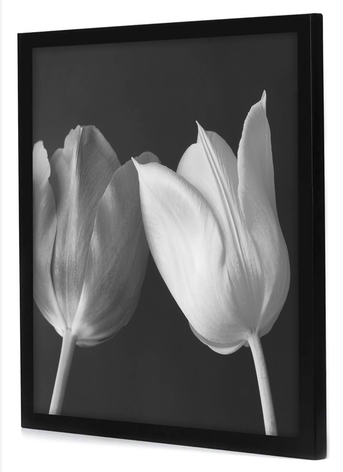 Americanflat - Wholesale Picture Frame - Americanflat Poster Frame with Wide Molding143