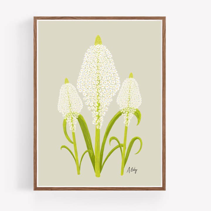 Beargrass - Wildflowers Wall Art for wholesale by Annie Bailey Art