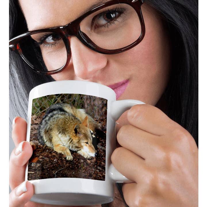 3dRose - Wholesale Coffee Mug - 3dRose, A Coyote Resting A coyote laying down resting, Mug9