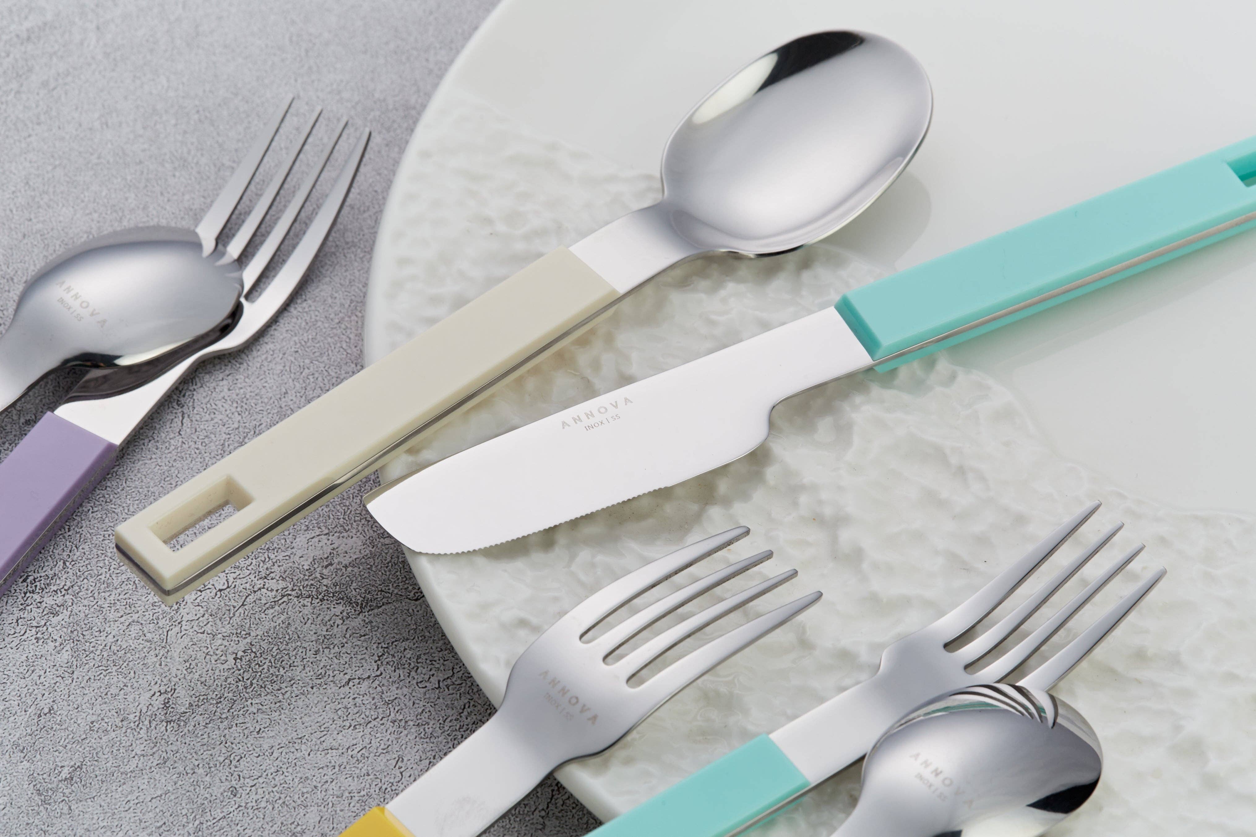 ANNOVA - Wholesale Flatware Set - ANNOVA Block Handle Silverware Set 20 Pieces Color Modern Style Flatware65