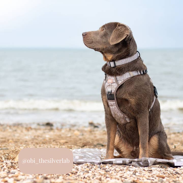 Bramble & Co – wholesale Matta - Hund – Resematta - Känslorna Neutrala