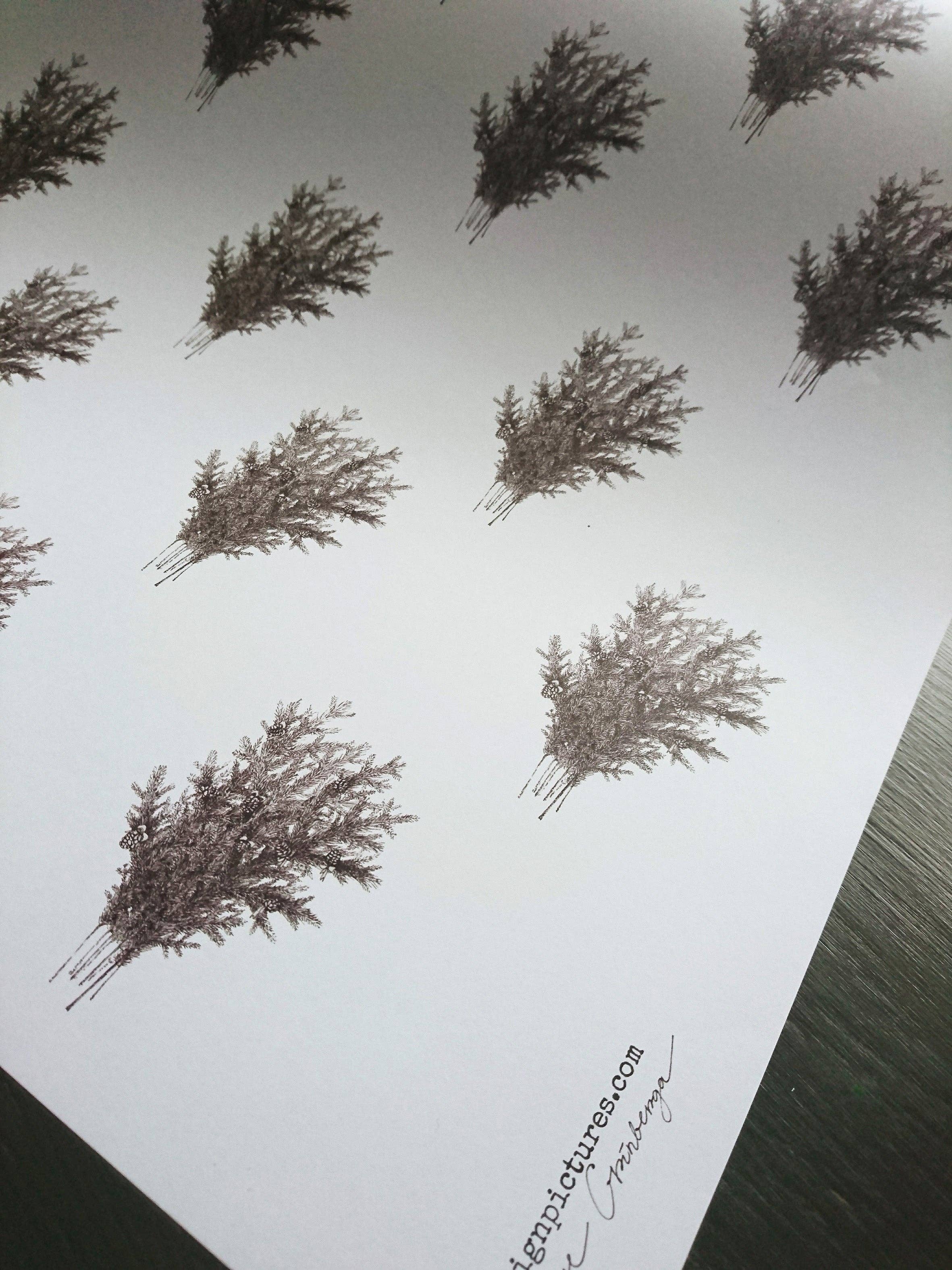 MyDesignPictures - Vente Feuille de papier cadeau - Papier d'emballage blanc avec branches d'épinette1