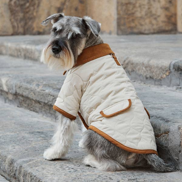 ARISTOPET - Wholesale Pet Jacket - Dog - SPENCER JACKET11
