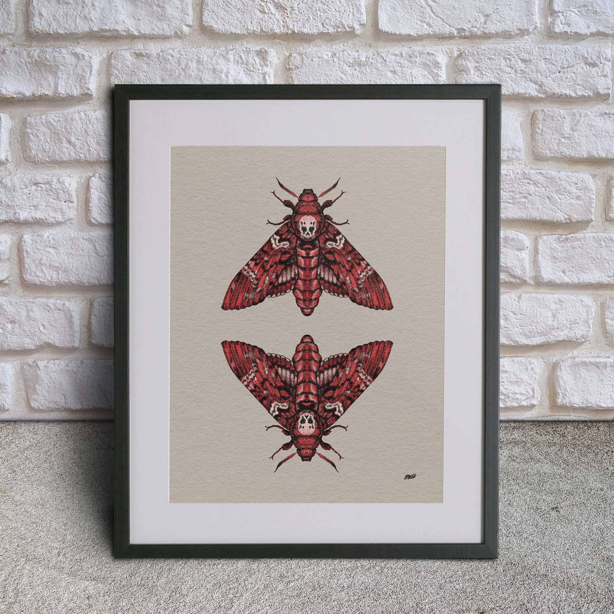 Amanda Marie Bell - Wholesale Art Print - Death Head Moth Print1