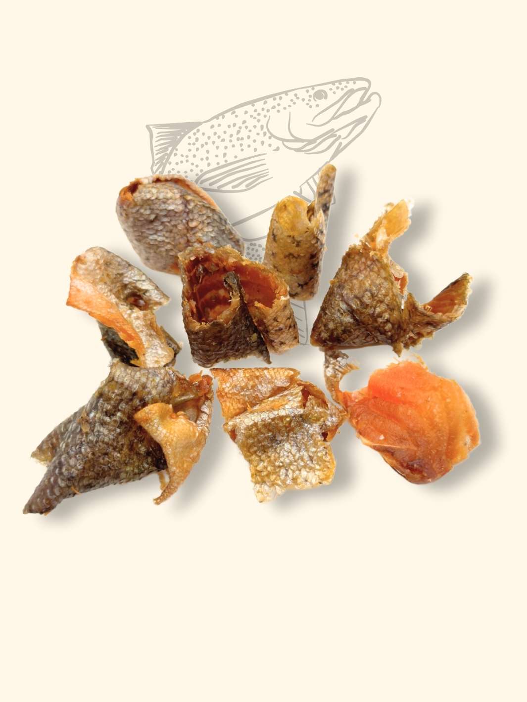 Truffe Délice – wholesale Pet treats – Dog – Pieces of trout with tender flesh1