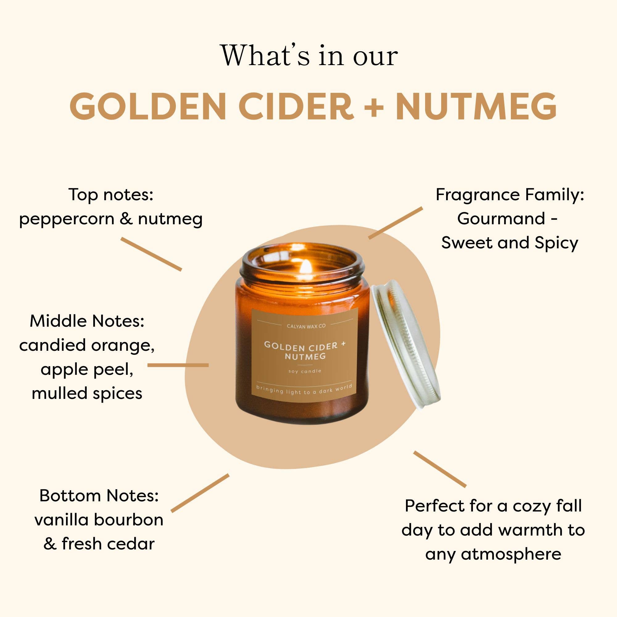 Calyan Wax Co. - Wholesale Pot/gevulde kaars - Gouden Cider + Nootmuskaat - Mini Amber Pot Soja Kaars6