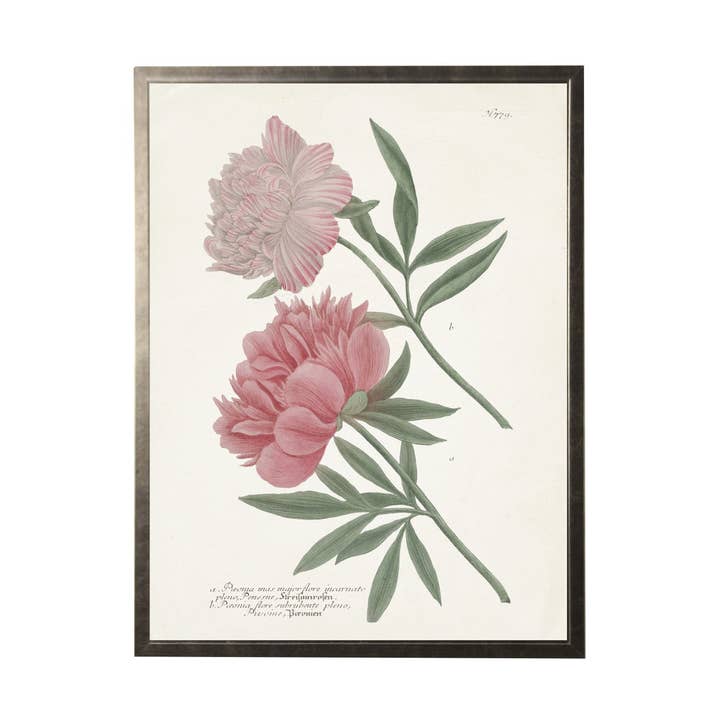 Blade m/lyserøde blomster på lys Bkgd for engroshandel hos Antique Curiosities Inc