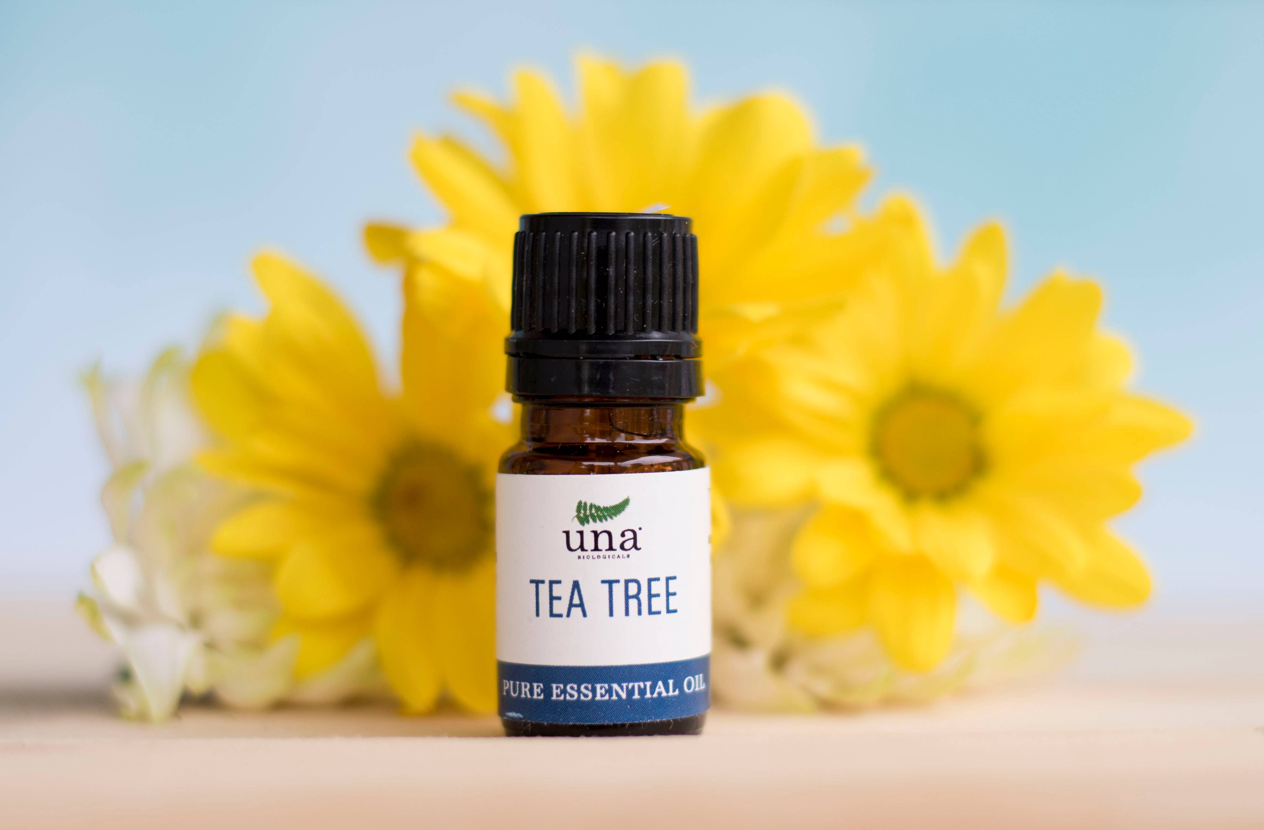 Una Biologicals - Wholesale Essential Oil - Tea Tree Essential Oil1