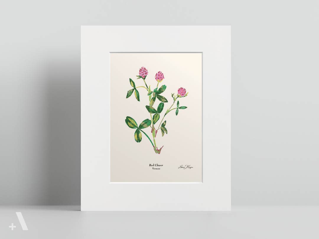 Addvent - Wholesale Art Print - US State Flowers / Small Art Prints44