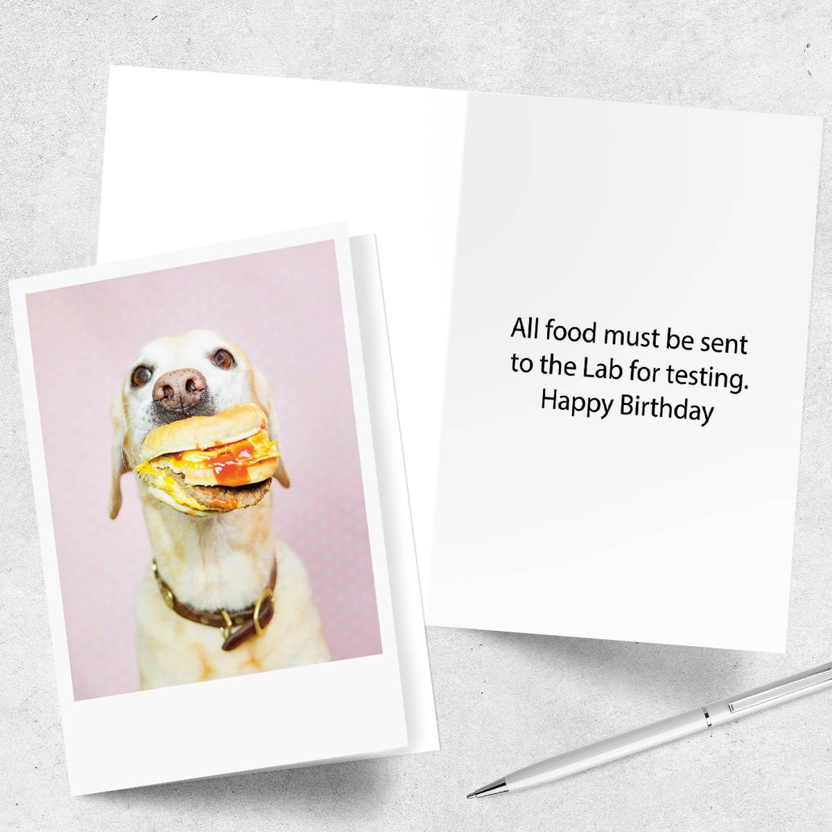 Palm Press - Wholesale Birthday Card - Dog with Burger Happy Birthday Card2