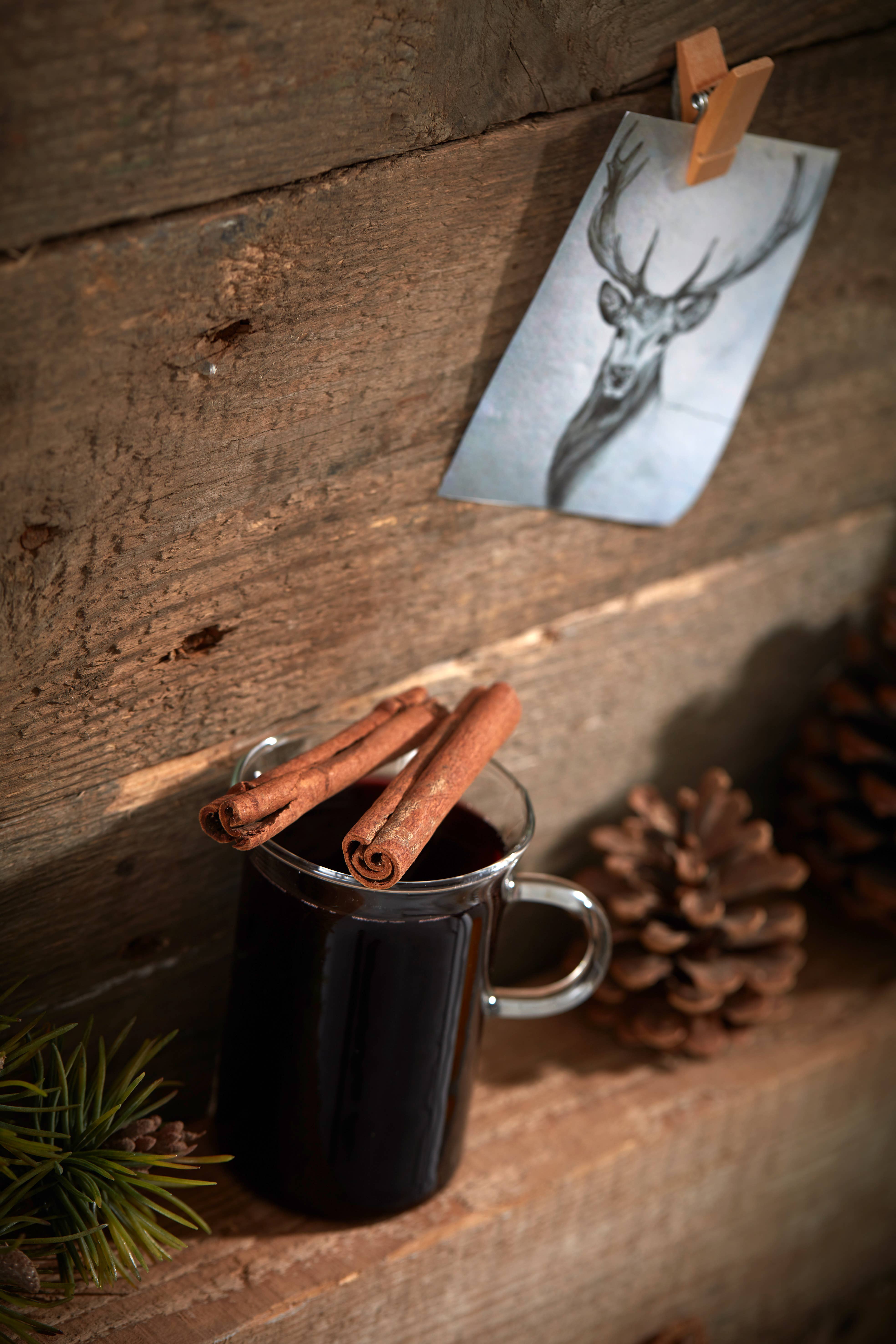 Shrub! - Wholesale Hot Cocoa Mix/Kit - syrup for mulled wine2