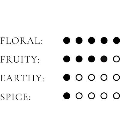 Efori - Wholesale Perfume/Eau de Toilette - SELF | 50 ML EAU DE PARFUM 3