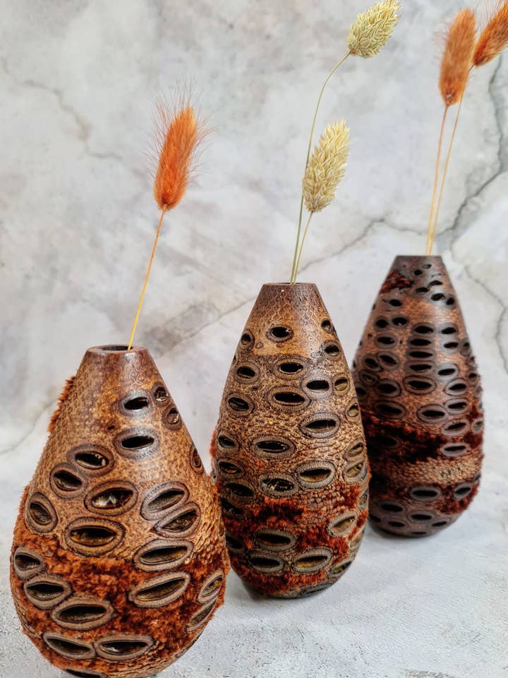 Wooden Bud Vase - set of three (Australian Banksia Nut) for wholesale by Anastasiou Designs