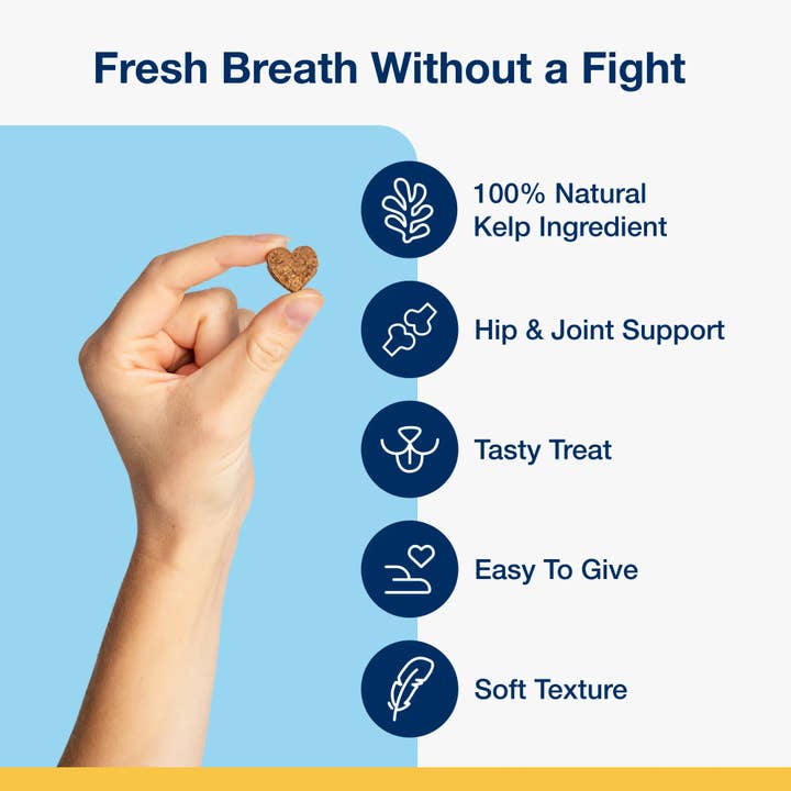 ProDen PlaqueOff - Wholesale Pet Supplement - Dog - ProDen PlaqueOff System® Holistic Soft Bites - Hip & Joint2