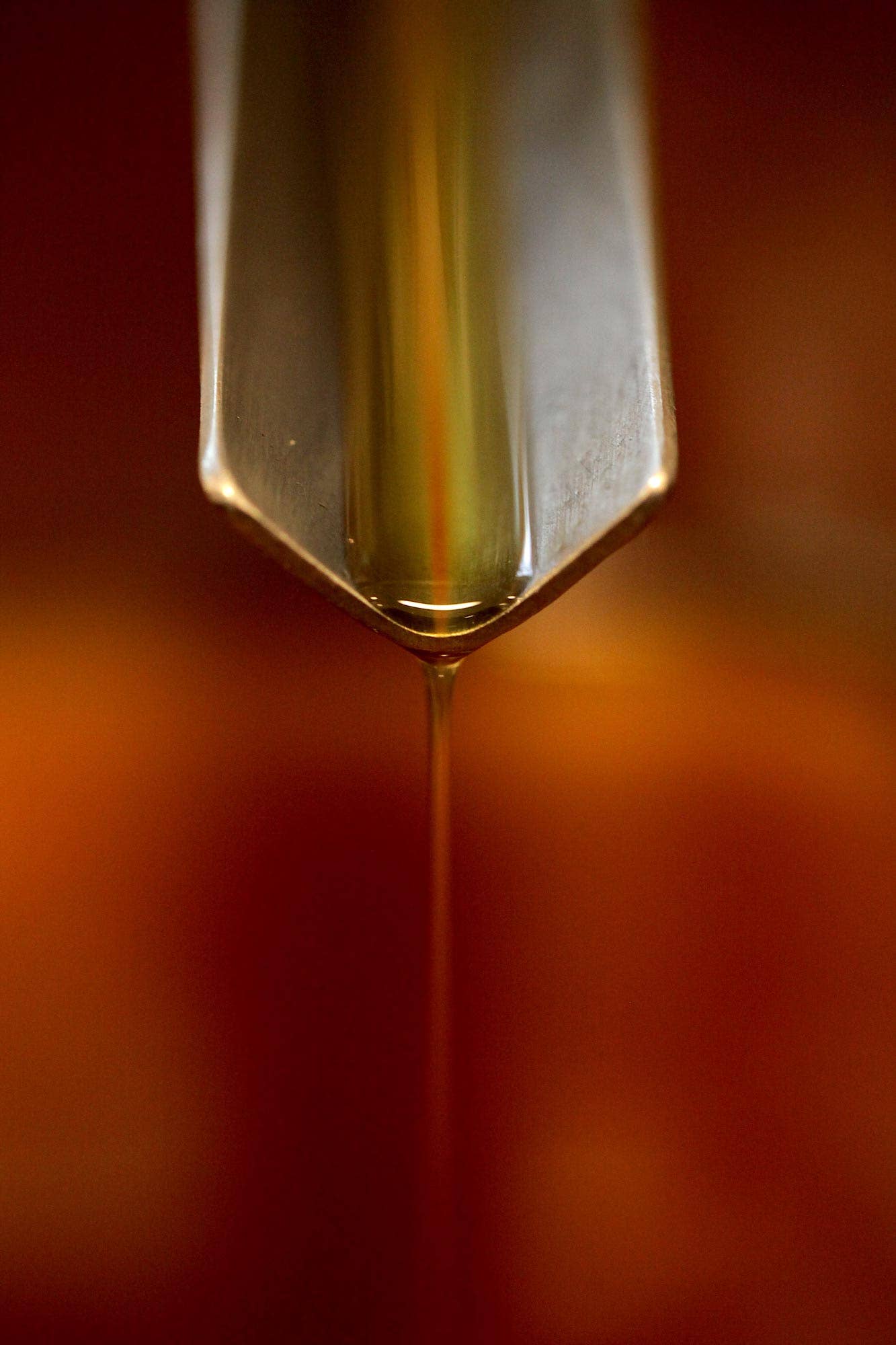 Goodnow Farms Chocolate - Wholesale Hot Cocoa Mix/Kit - Hot Cocoa, Mexico, Almendra Blanca3