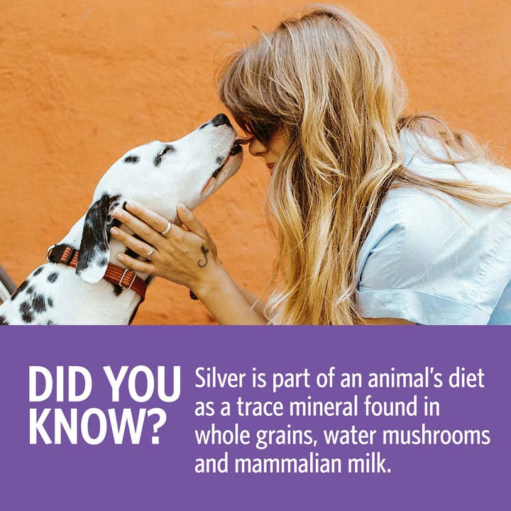 Katie's Pet Products – Engroshandel Supplement til kæledyr - Kat/hund – Sovereign Silver Pets kolloidalt sølv spray 59 ml med bio-aktivt sølvhydrosol4
