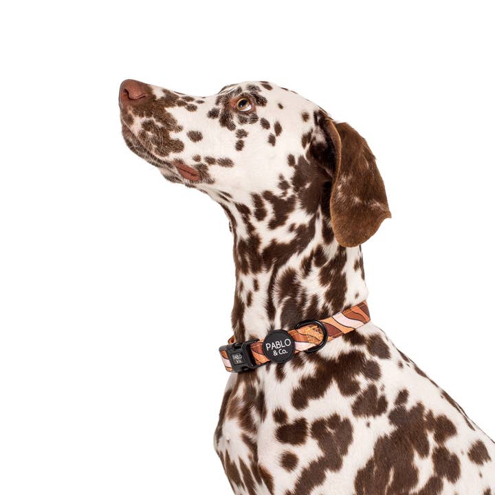 Pablo & Co. Boutique - Wholesale Pet collar – Dog - Espresso Swirls: Dog Collar2