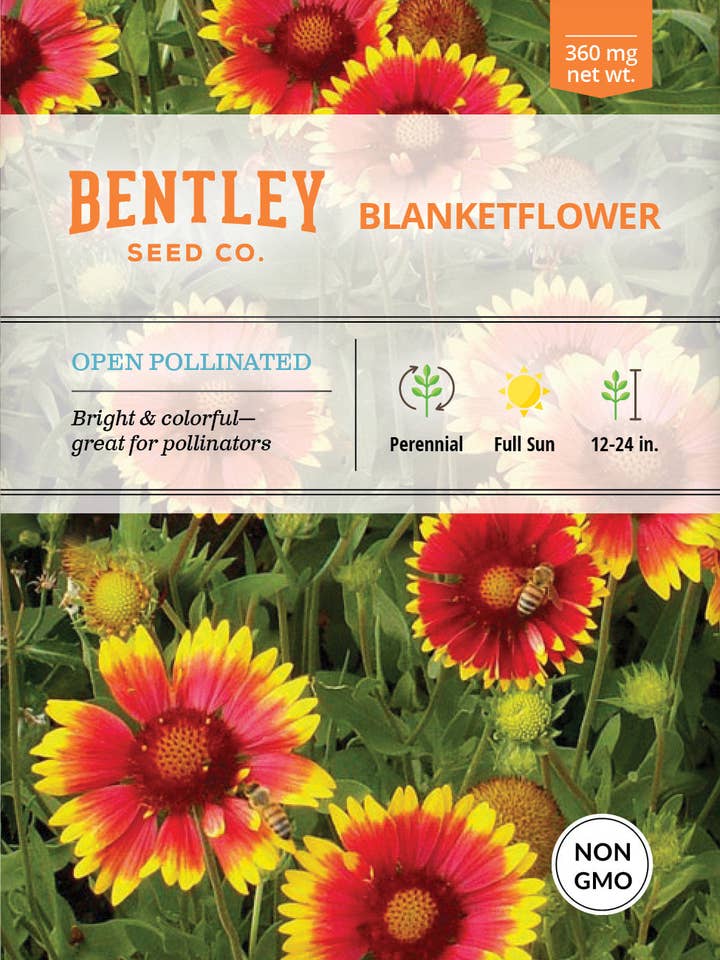 Blanketflower Seed Packets for wholesale by Bentley Seed Co.