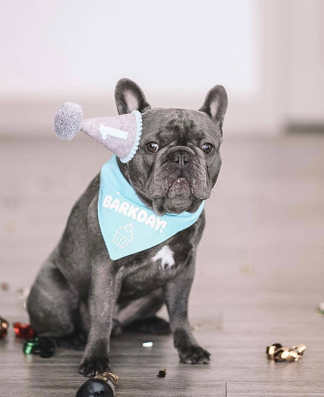 Little Blue Olive – wholesale Pet hat – Dog – FUN PARTY HATS!! - Large 5