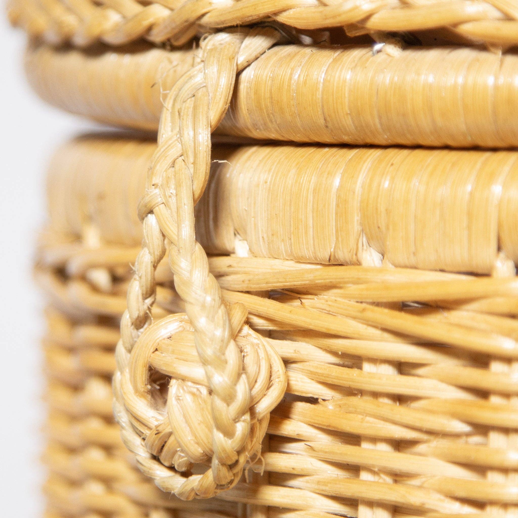 The Roaming Basket - Honey for wholesale on Faire5