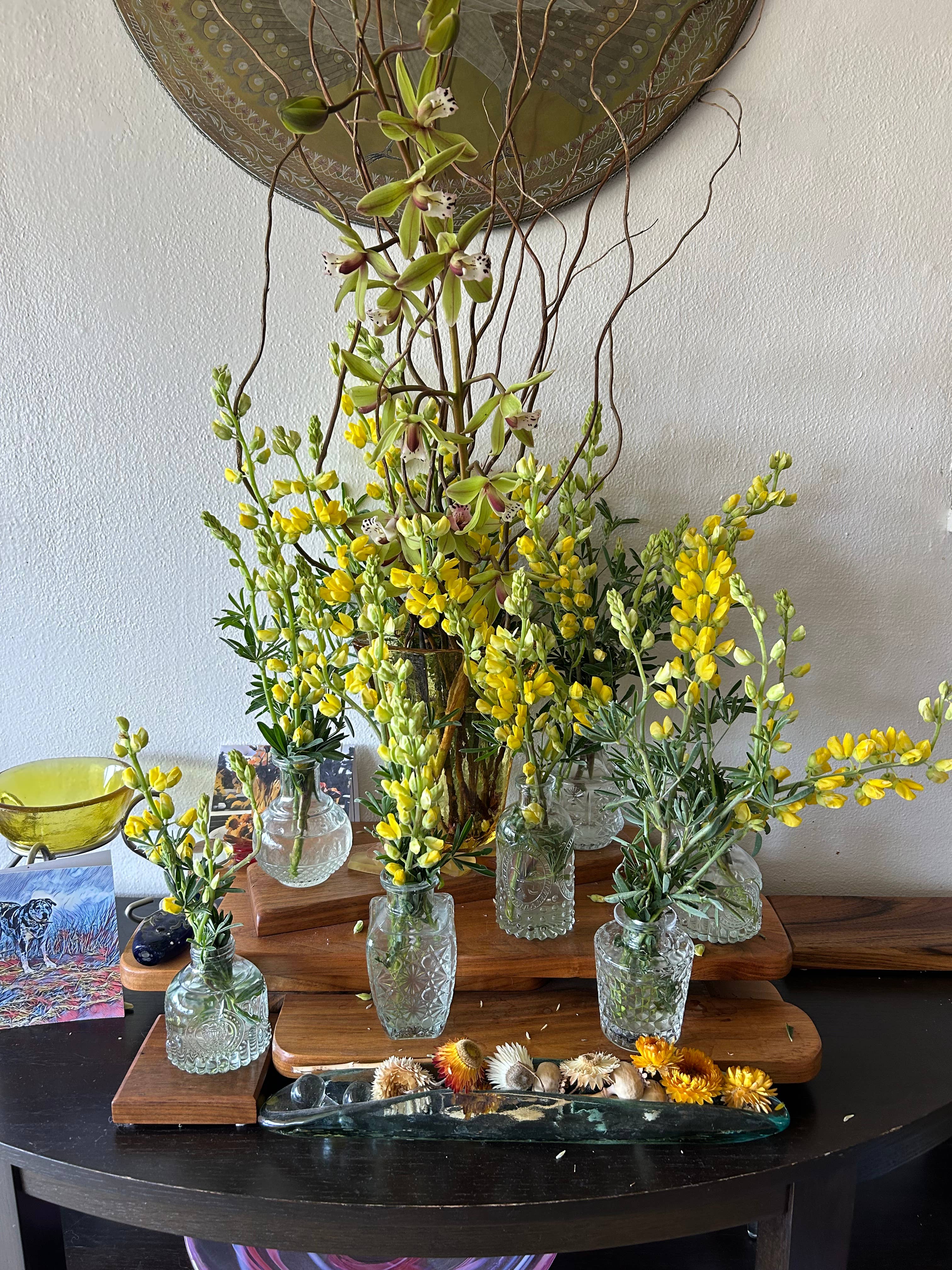 Terrapin Glass Gardens – Engroshandel Pyntefigur – Baby Banana Slug håndskulptureret af massivt glas6