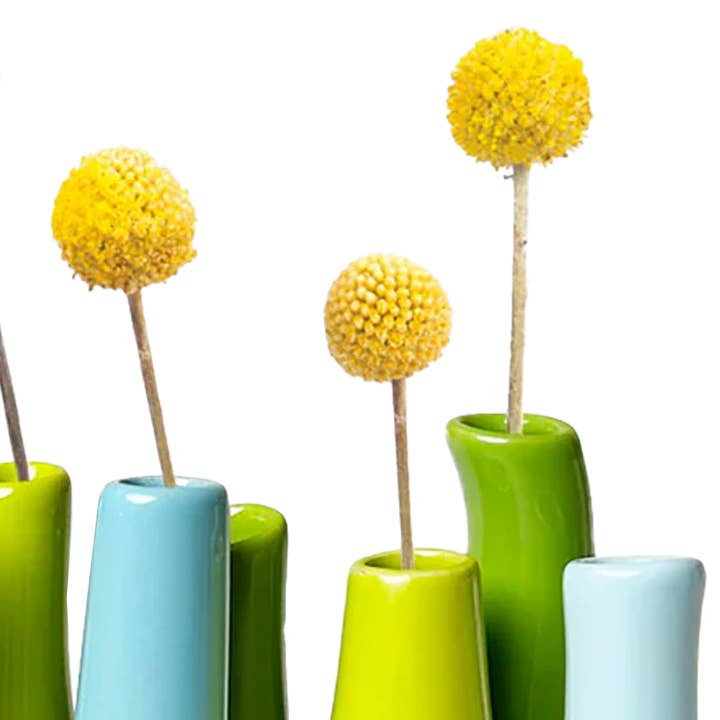 Chive - Wholesale Vase - Pooley Colorful Bud Vase For Flower Arranging Rectangular60